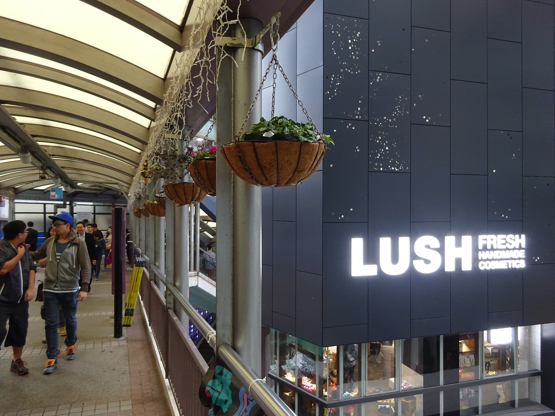 Clean Beauty Boutiques Are Reshaping New York's Cosmetics Counters