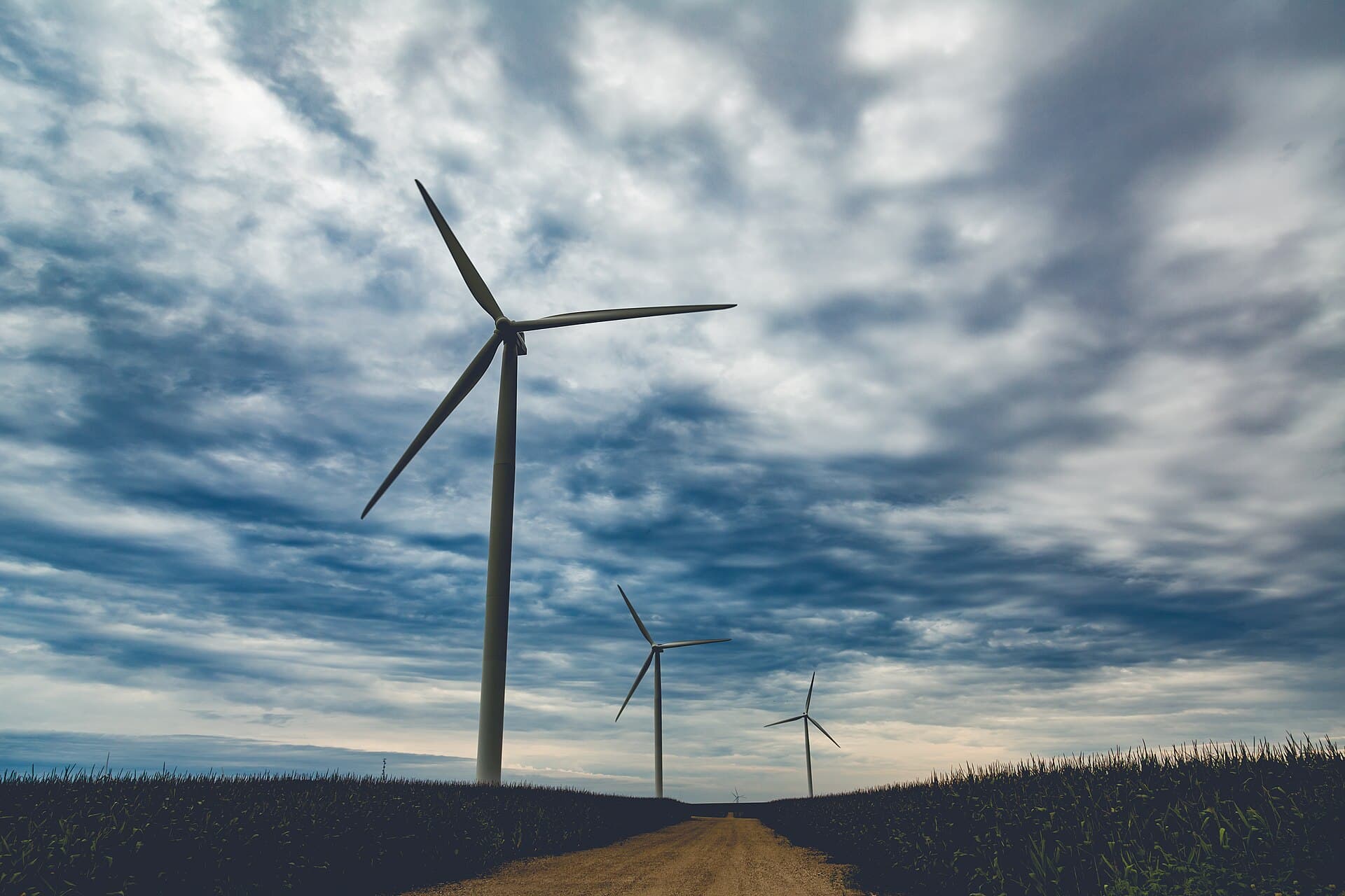 New York Becomes a Global Hub for Green Bonds