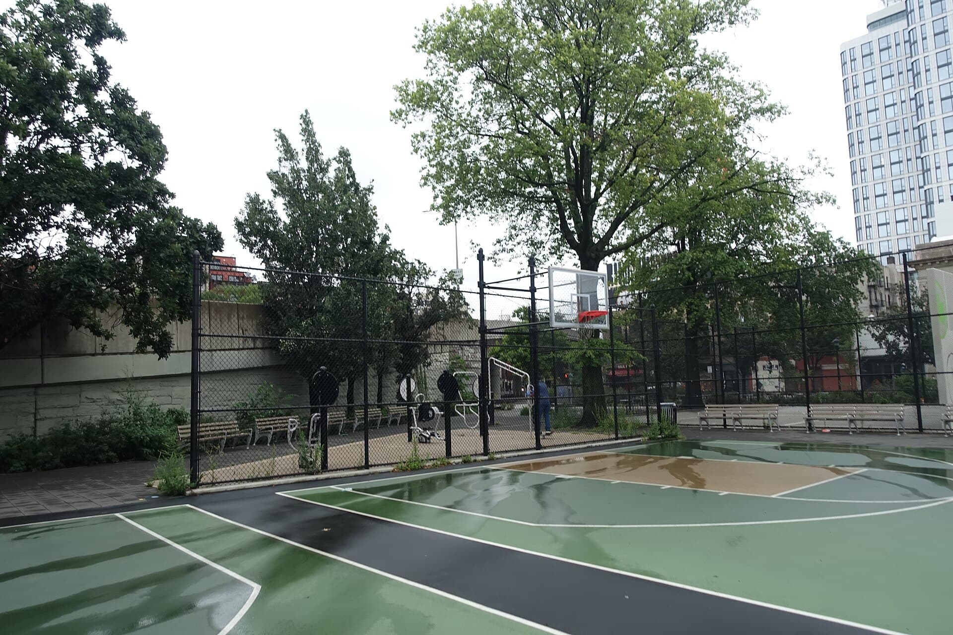 New York's High School Basketball Courts Are a Proving Ground