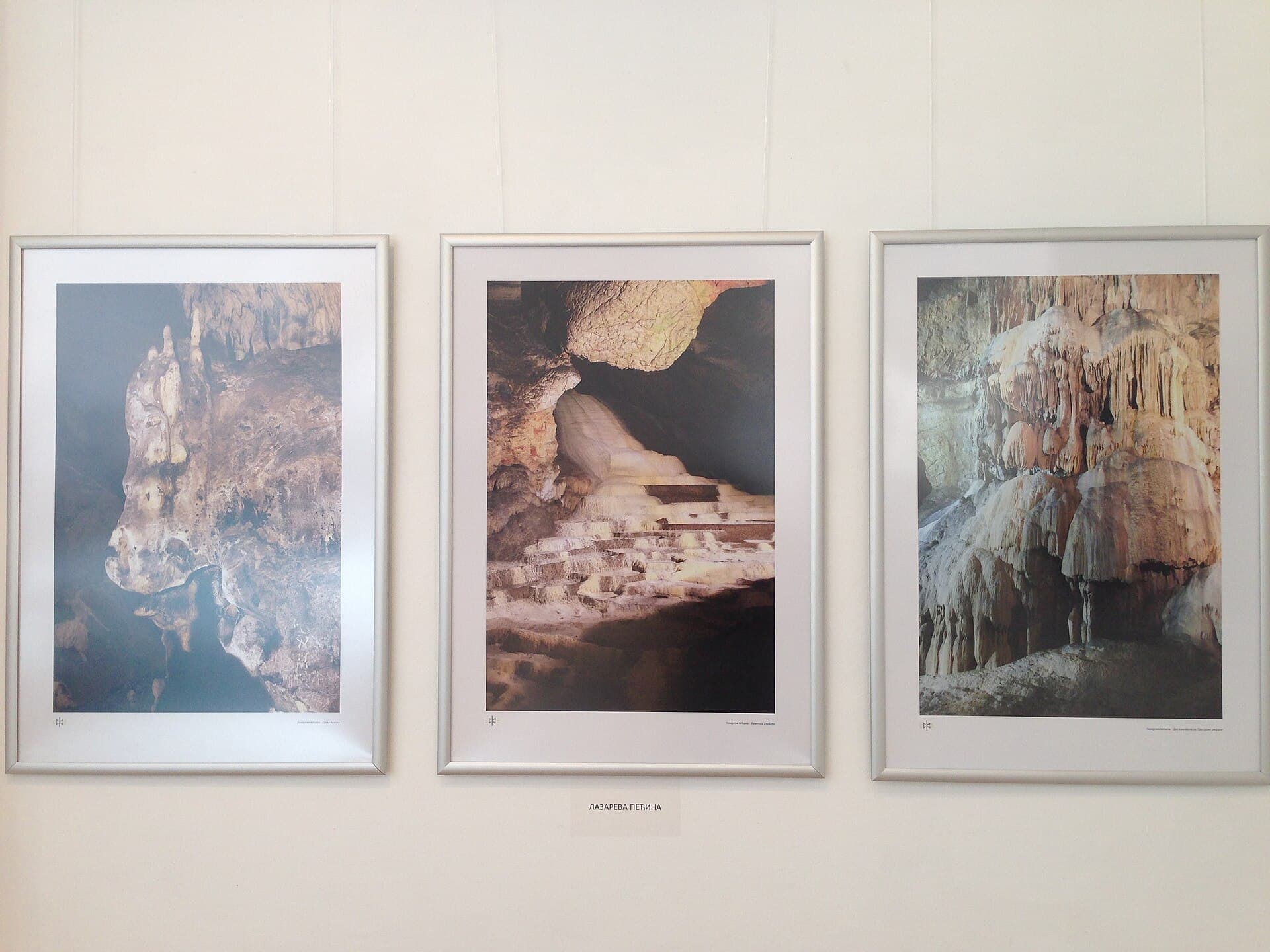 Photography Takes Center Stage in New York's Galleries