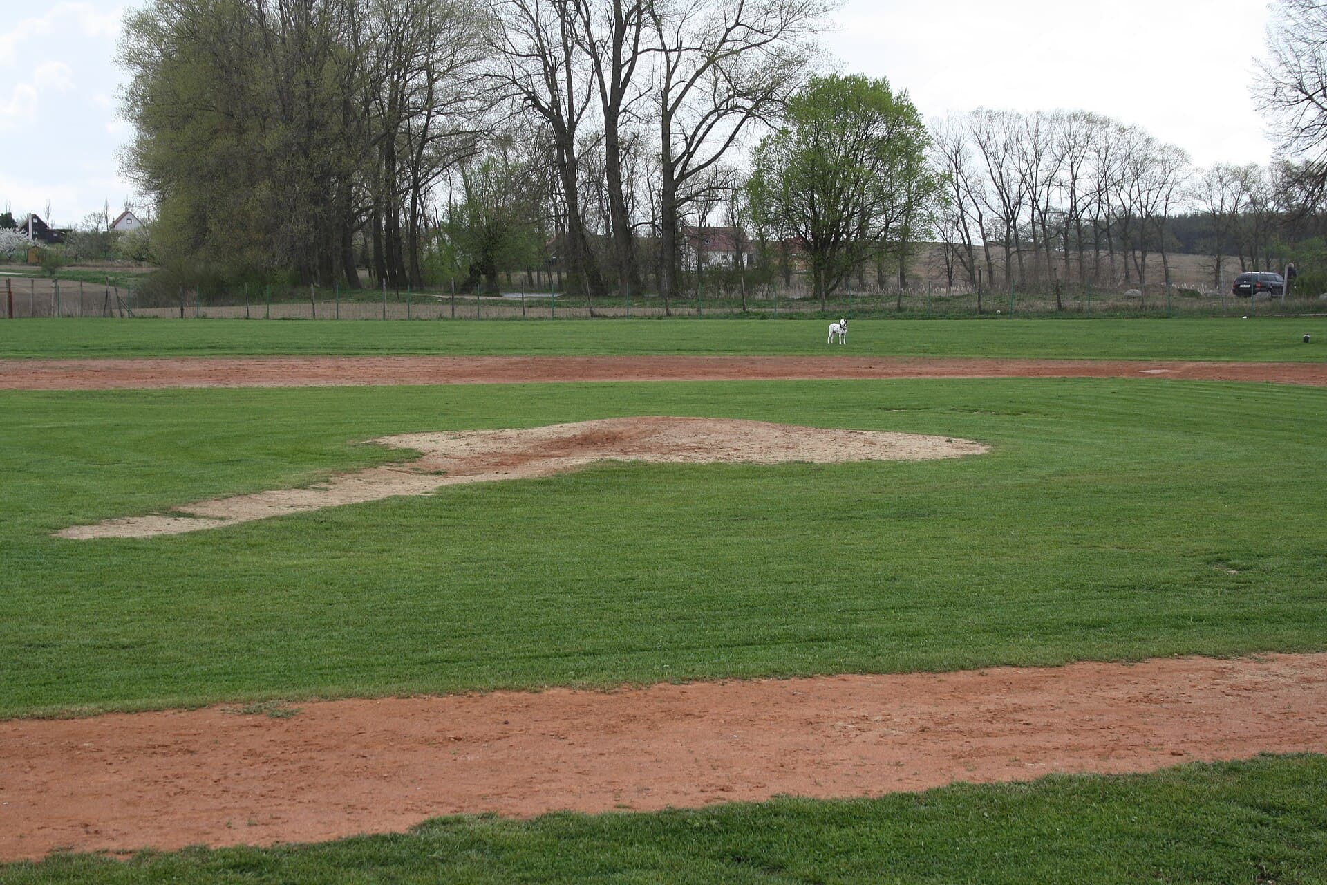 The Yankees' Farm System Is Stocked With Future Stars